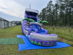 IMG 7306 1722311632 "Purple Plunge" 18ft Wet/Dry slide