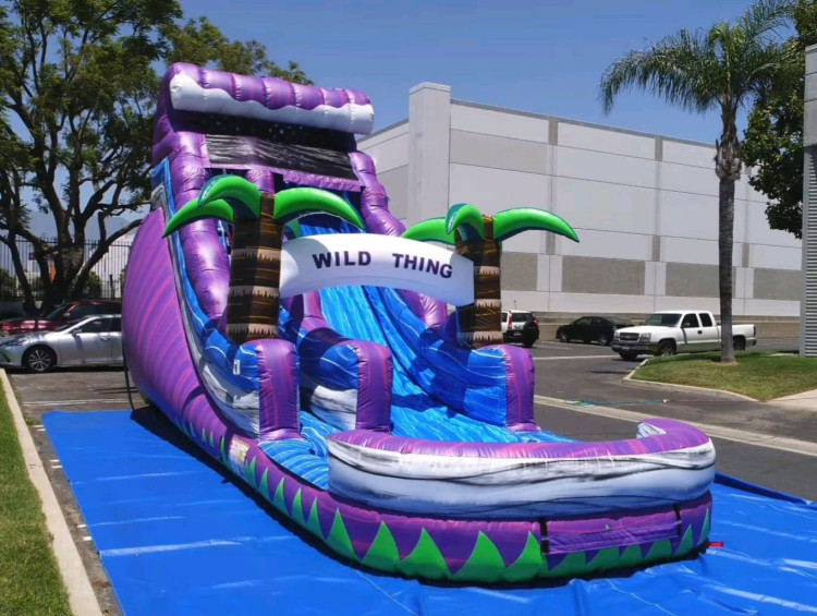 18ft “Wild thing” Wet/Dry slide