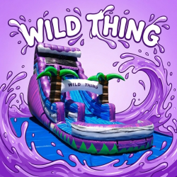 18ft “Wild thing” Wet/Dry slide